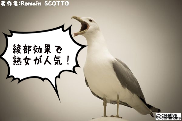 ミセス向けで大きなサイズのパーティードレス通販