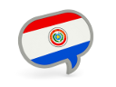 【WE2015】パラグアイ代表のインポートデータ
